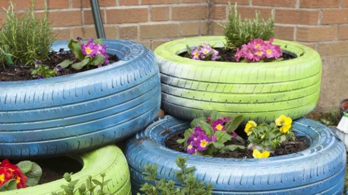 Image of flowers growing in upcycled tyres.