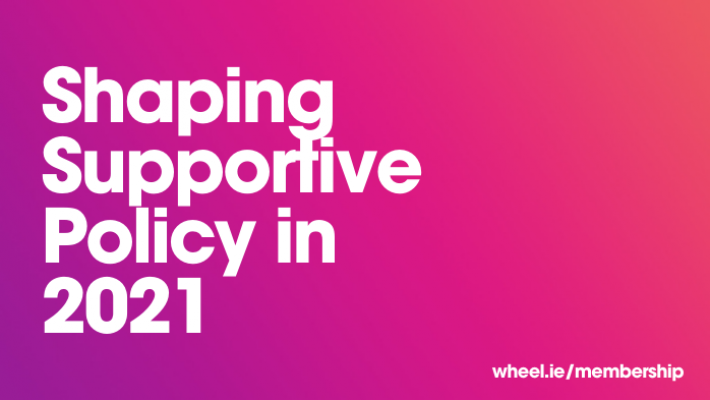 Text on a purple/pink gradient background. The text reads, "Shaping Supportive Policy in 2021".