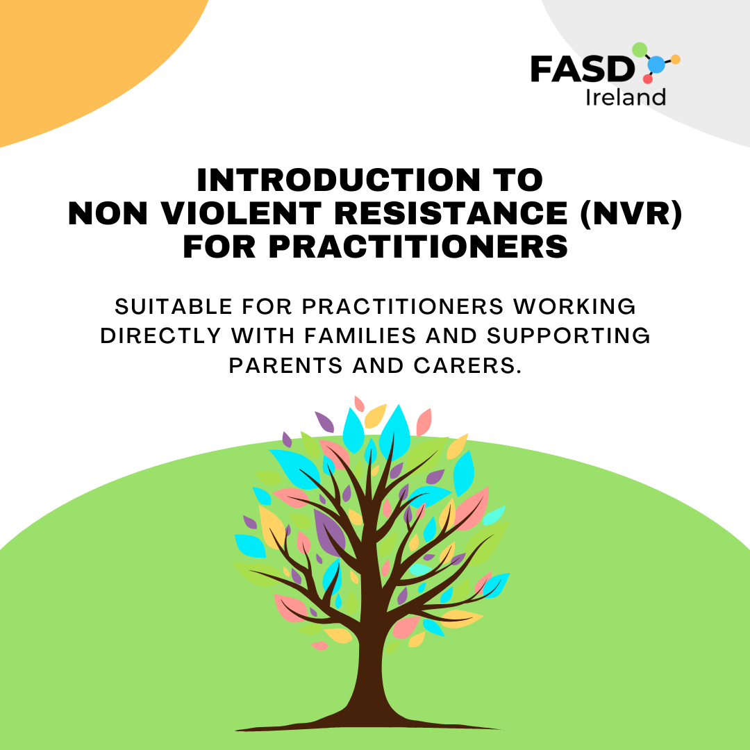 Introduction to Non-Violent Resistance (NVR)
