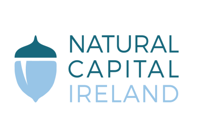 Natural Capital Ireland logo with Natural Capital Ireland in blue letters with a blue acorn and navy acorn lid