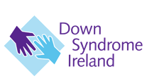 DSI Logo