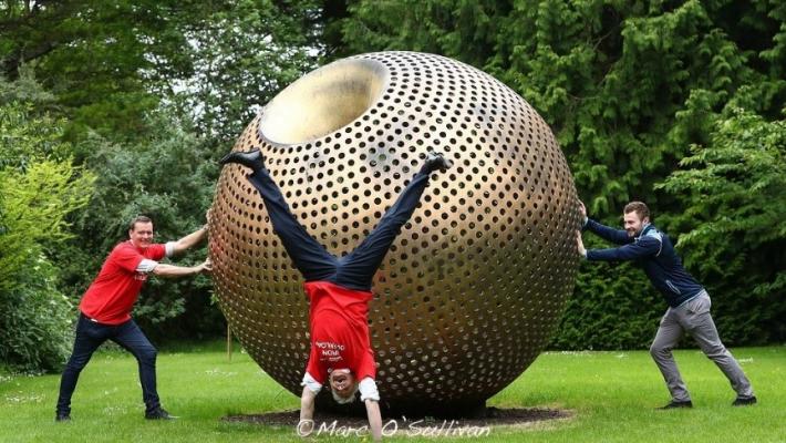 Irish Haemochromatosis Association