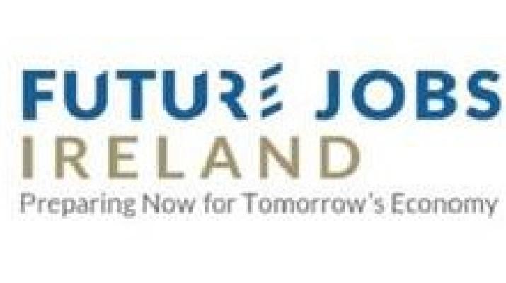 Remote Work in Ireland Report