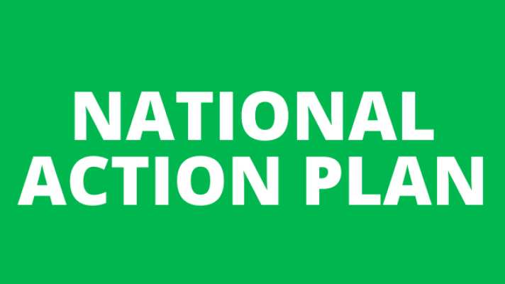 National Action Plan