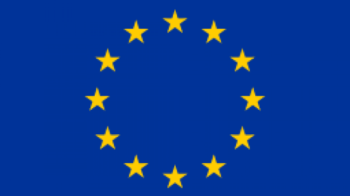 The EU flag