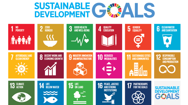 sdgs