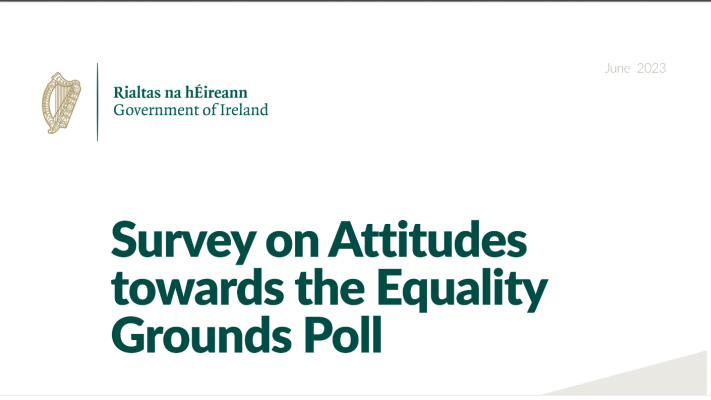 Diversity Survey
