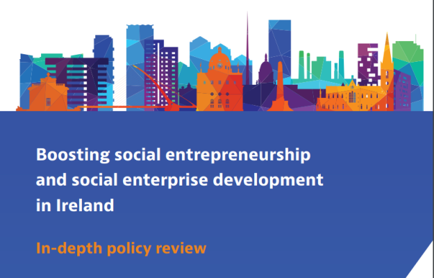 social enterprise  report
