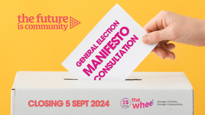 Consultation: General Election Manifesto