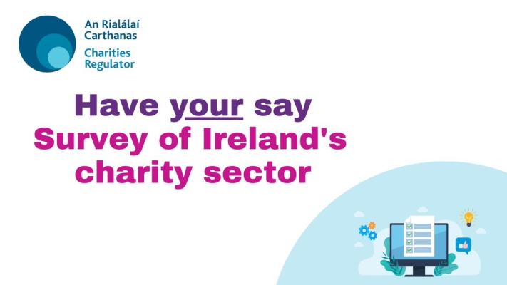 Charities Regulator charity survey 