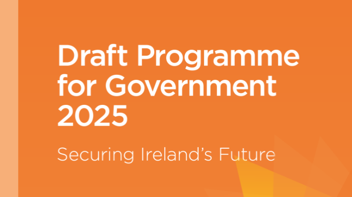 Draft Programme for Government