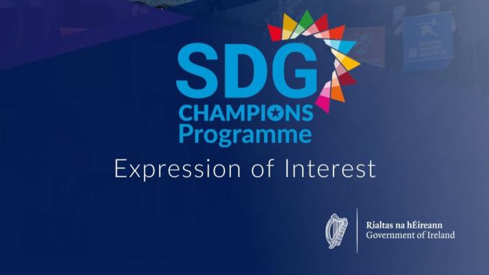 SDG Champions Programme 2025: Call for Expressions of Interest