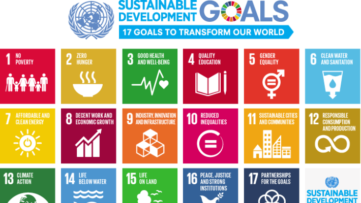 Public Consultation Launched to Develop Ireland's 3rd Sustainable Development Goals (SDGs) National Implementation Plan