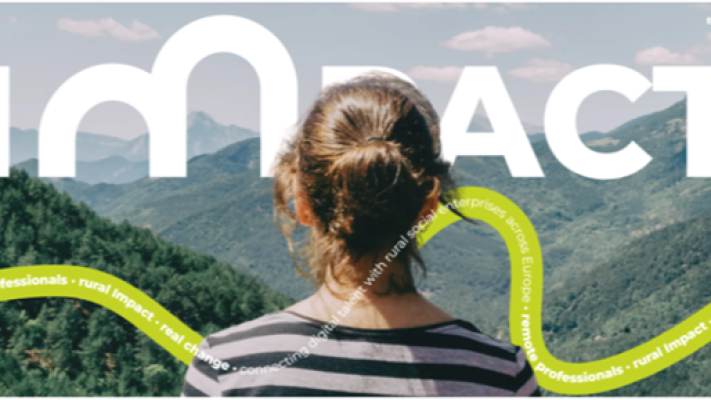 IMPACT Project - Calling Community Organisations and Remote Workers 