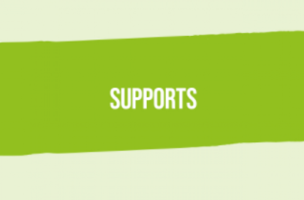 Healthy Ireland Supports