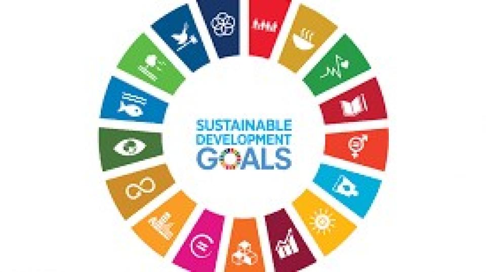 Expressions of Interest sought for participants in the 2023 Sustainable ...