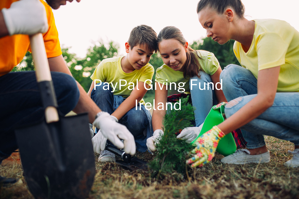 PayPal Fund
